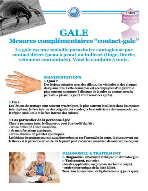 gale & martin casino|protocole gale à imprimer.